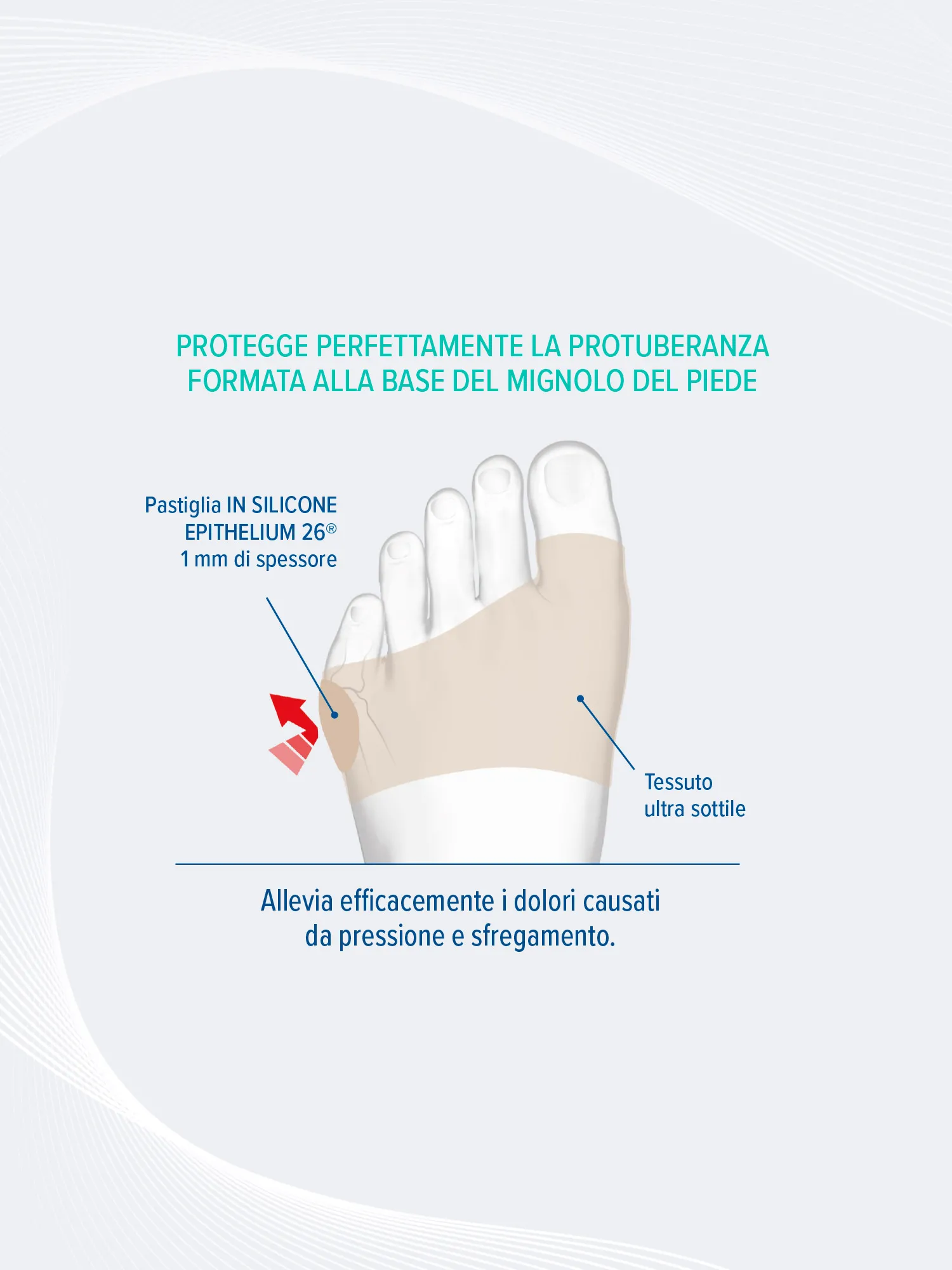 PROTEZIONE CONFORT QUINTUS VARUS