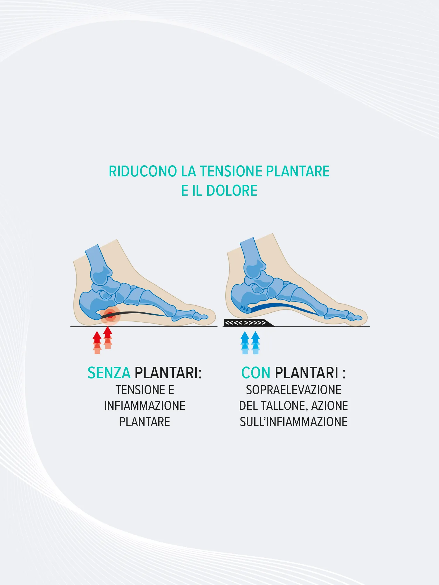 SOLETTI PHYSIO’CHOC™